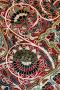 1084738-alb-63f10a91d5abc.jpg