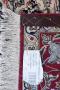 1815651-alb-6a9844adbeea5.jpg