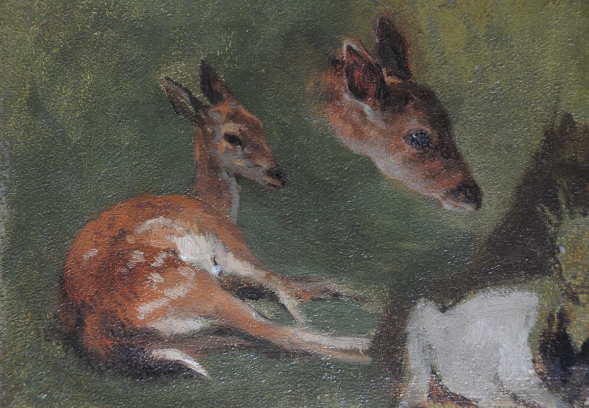 Fawn And Goat Study-photo-3