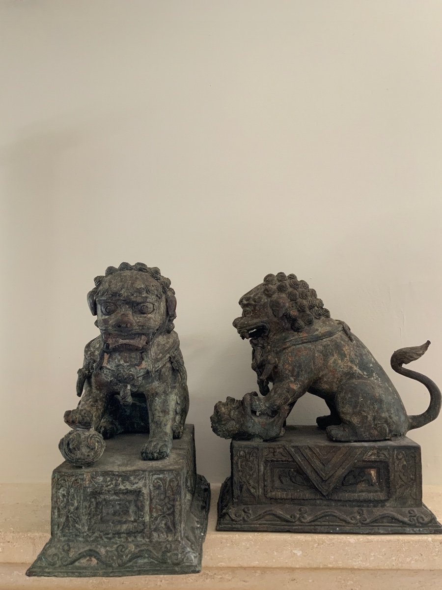 Pair Of Dd Fo Dogs In Bronze-photo-2
