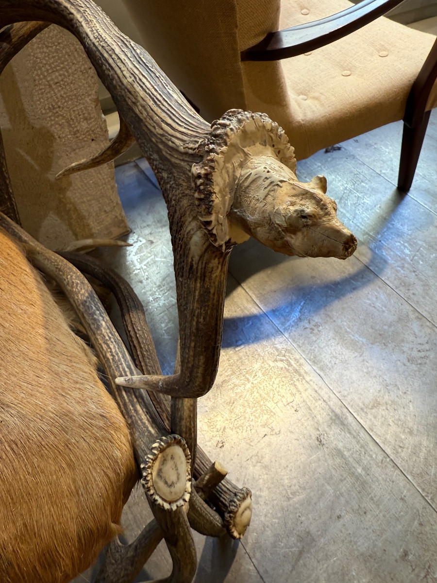Fauteuil En Bois De Cerf -photo-3