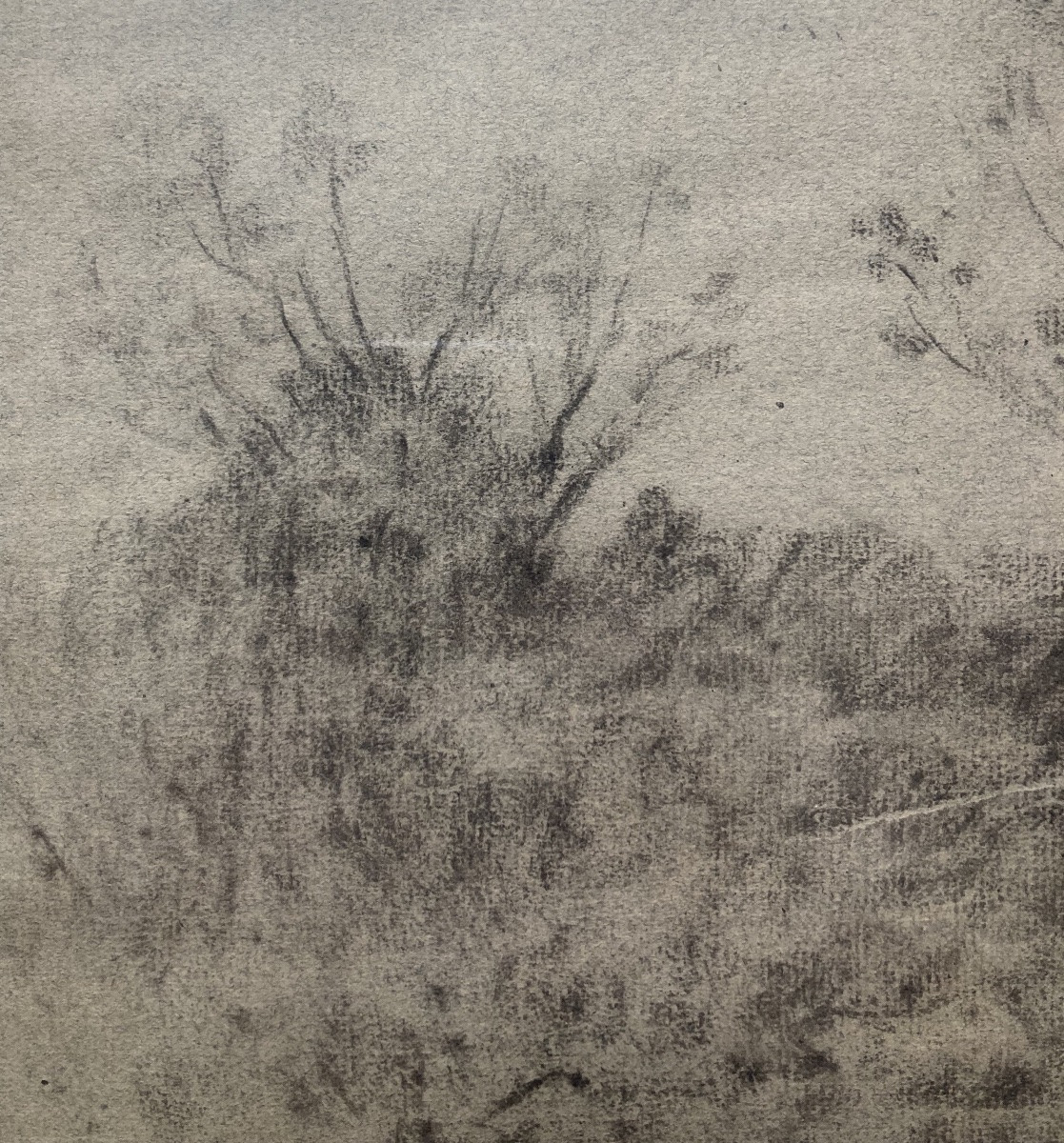 Henri Joseph Harpignie, Paysage, fusain -photo-1