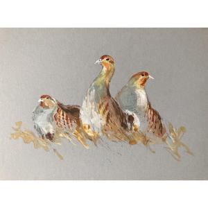 Patrice Bac, Three Gray Partridges