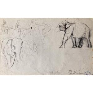 René Hérisson, Study Of An Elephant, Graphite And Charcoal On Paper