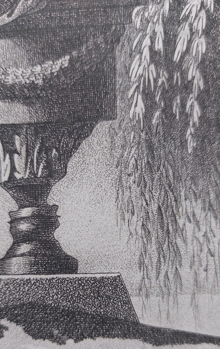 Seditious Engraving With Hidden Profiles Of The Royal Family-photo-4