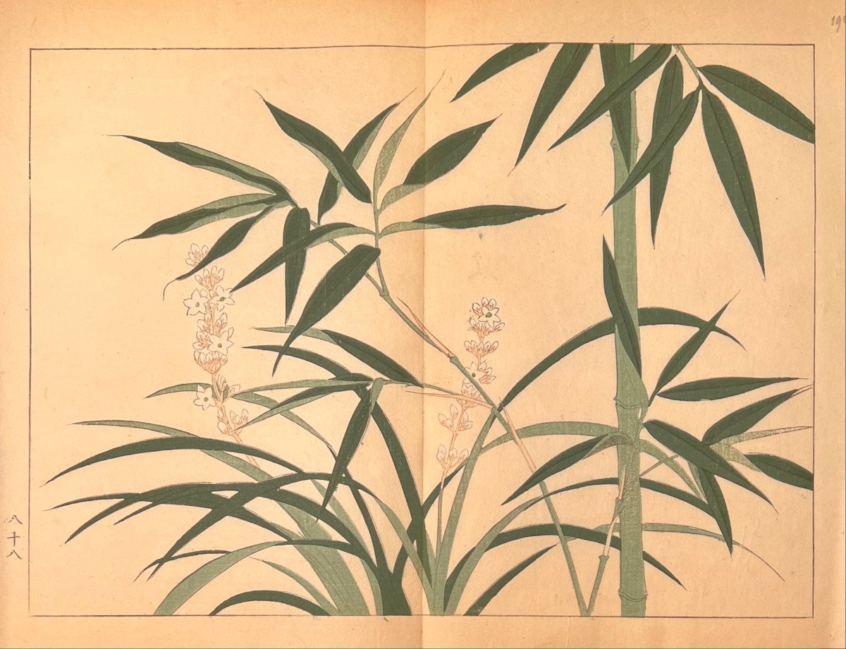 Japanese Print By Tessai: Bamboo