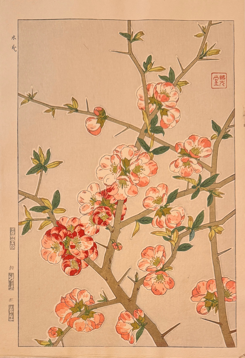 Japanese Print By Shodo: February, Boke Or Quince Tree