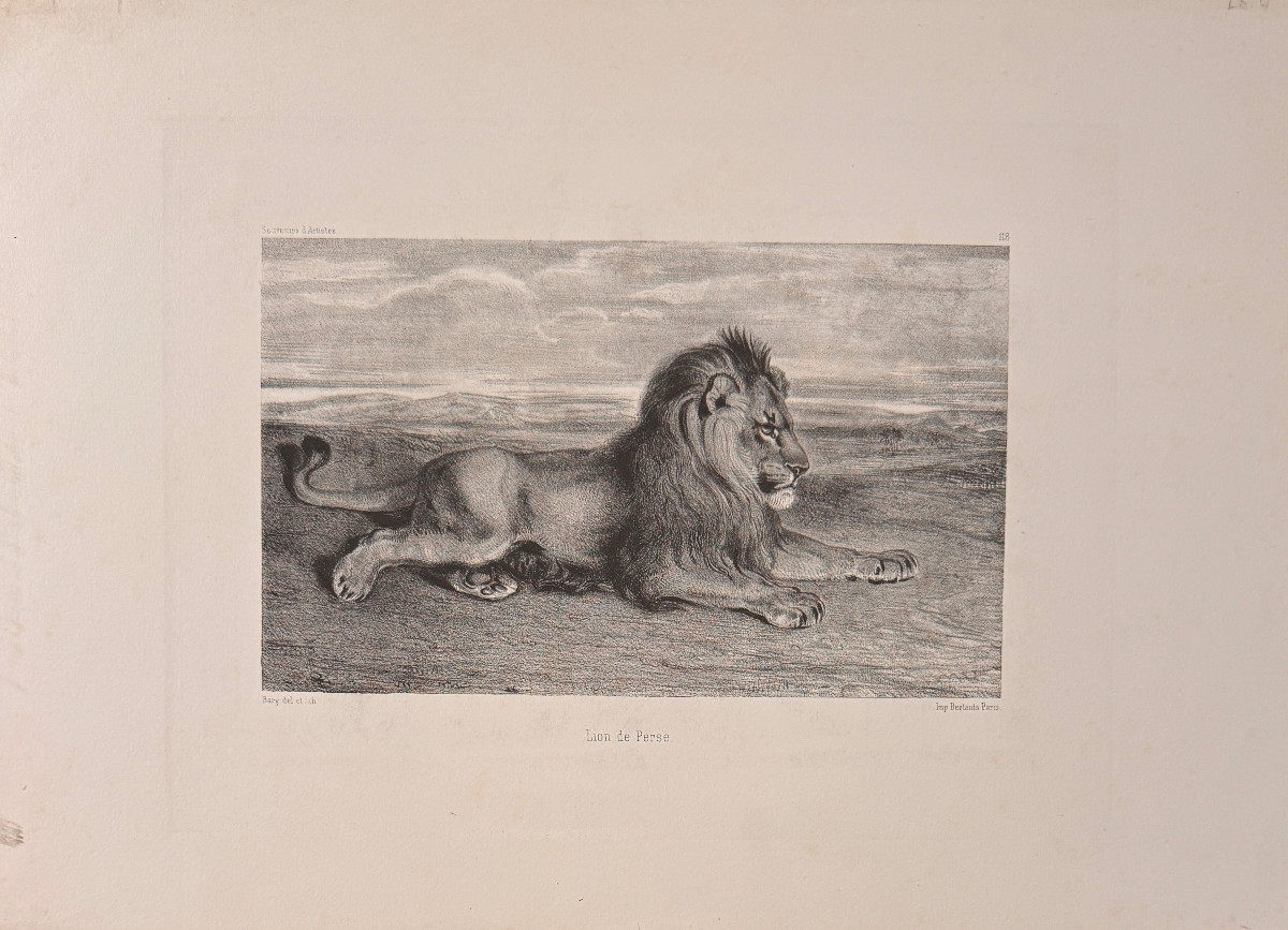 Estampe de BARYE : LION DE PERSE