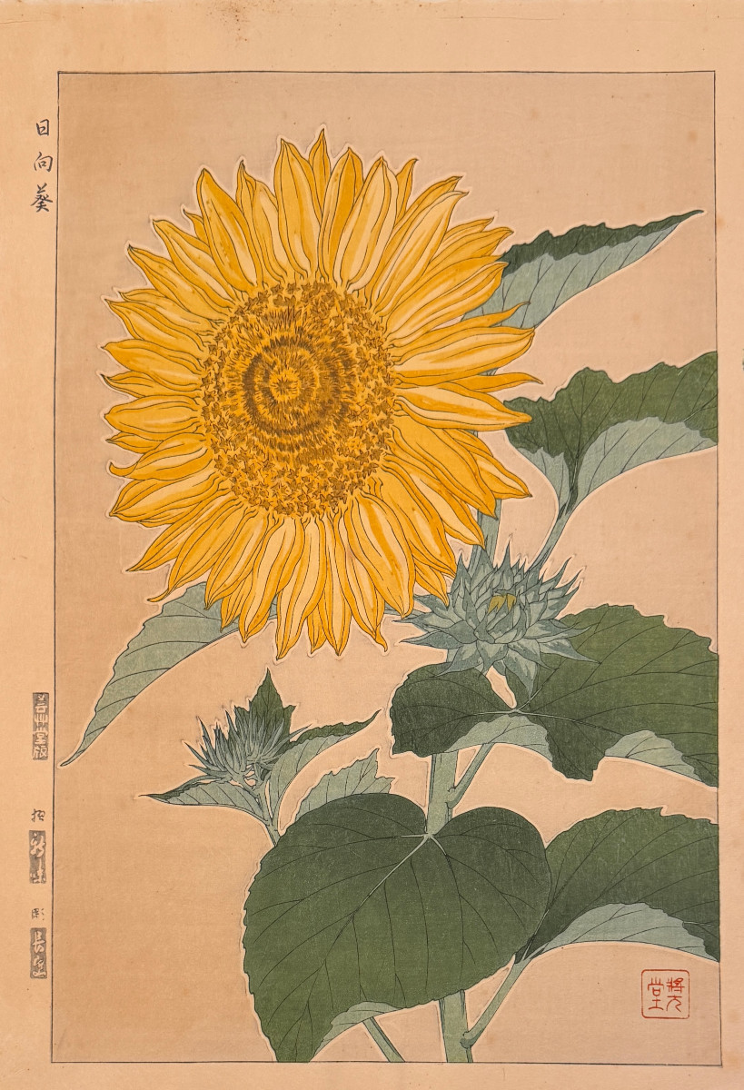 Japanese Print By Shodo: August, Himawari, Sunflower
