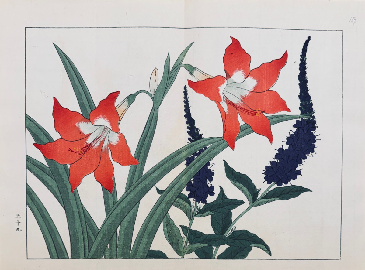 Estampe japonaise de Tessai : SHIKI NO HANA, AMARYLLIS, VERONIQUE