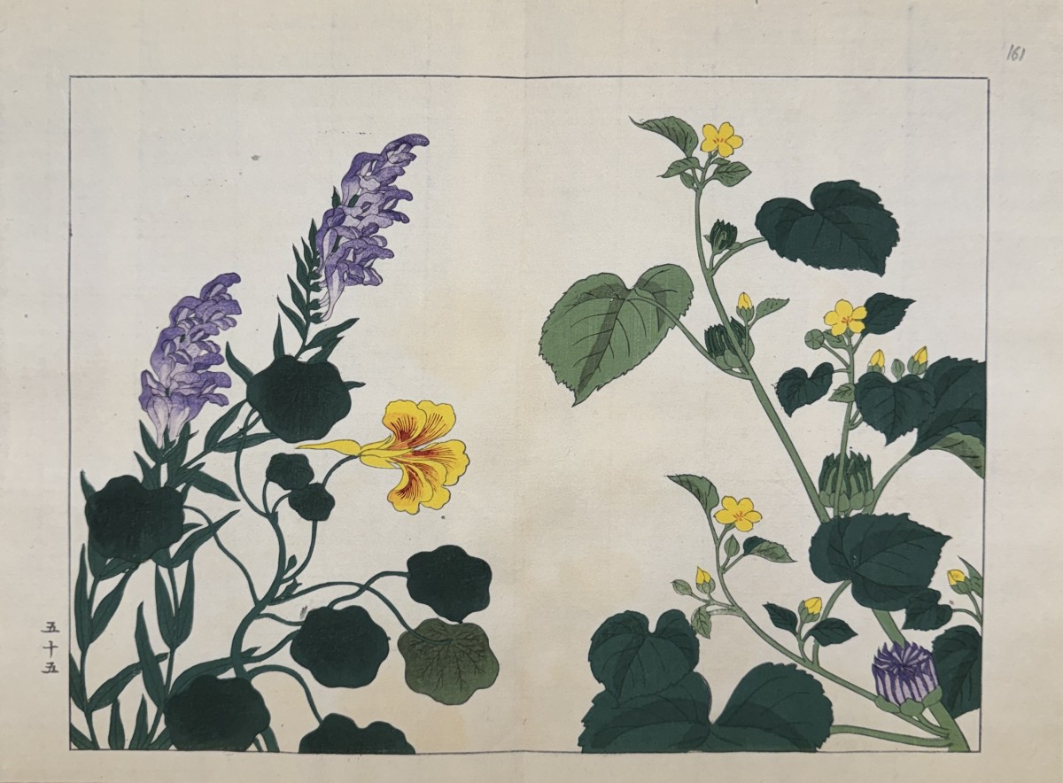 Estampe japonaise  de TESSAI : SHIKI NO HANA, ACONIT, CAPUCINE, ABUTILON