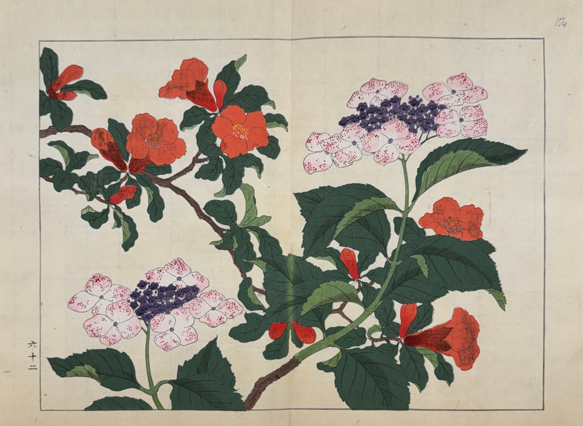 Japanese Print By Tessai: Sshiki No Hana, Japanese Cognassier, Flat-headed Hortensia