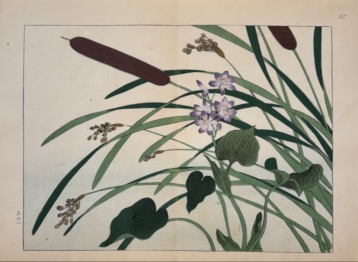 Estampe japonaise de Tessai : SHIKI NO HANA, TYPHA, MURDANNIA KEISAK, SAGITTARIA TRIFOLIA 