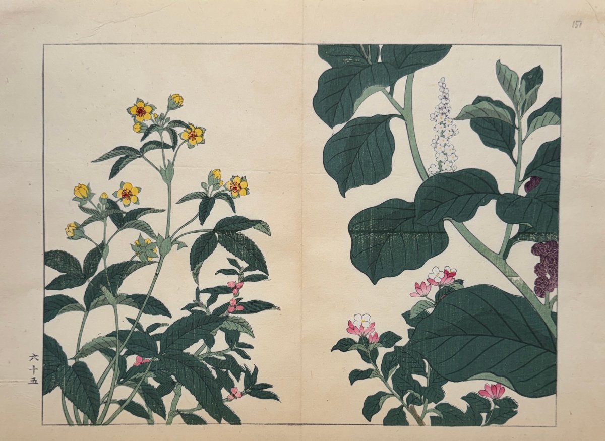 Estampe japonaise de Tessai : SHIKI NO HANA, LYSIMAQUE, DEUTZIA, PHYTOLAQUE D'AMERIQUE