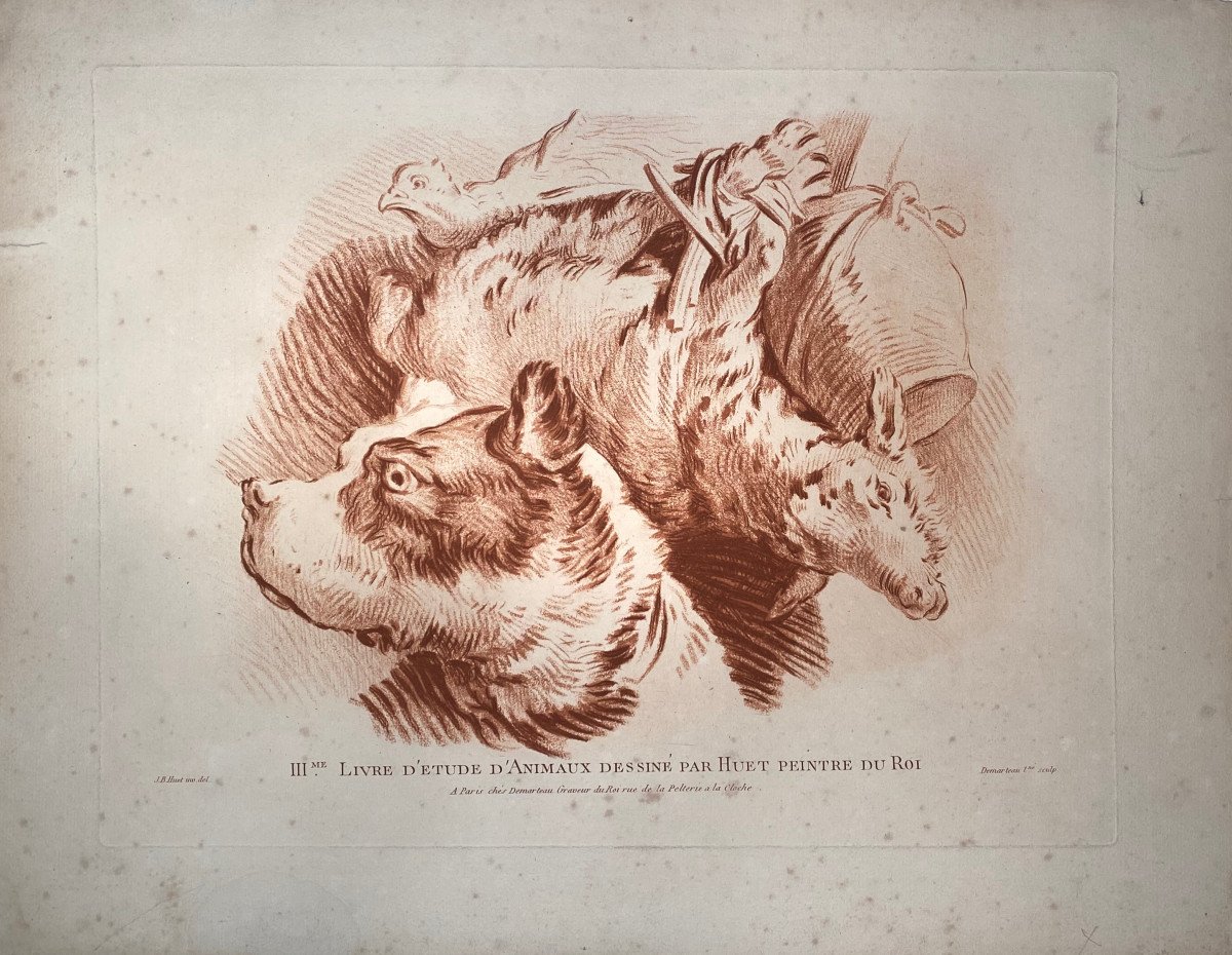 XVIIth IIIrd Engraving In La Sanguine: Animal Study Book By Demarteau