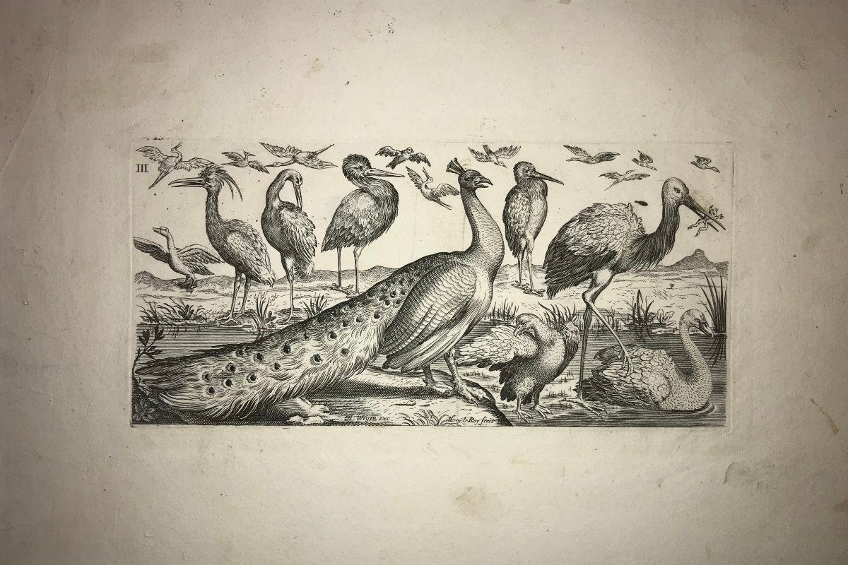 Estampe XVIIè De Le Roy : Oiseaux
