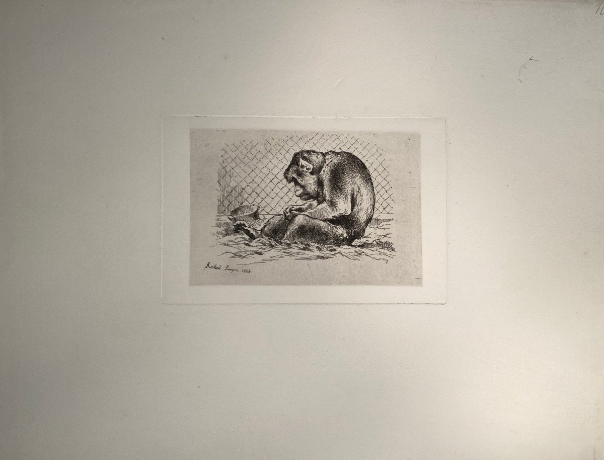 Lançon Print: The Monkey