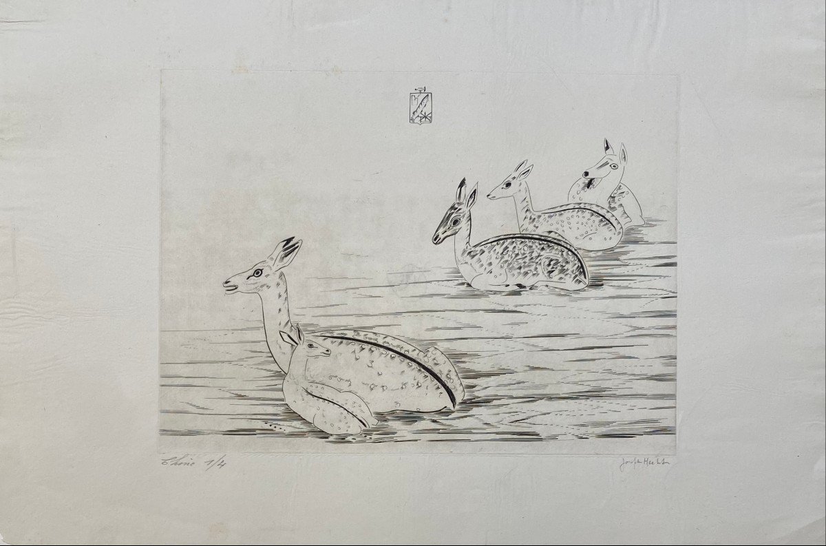 Gravure De Hecht : Cerfs Indochinois