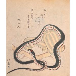 Estampe Japonaise, Surimono De Hokkei : Serpent Et Melons Du Chomon-jû
