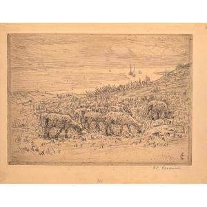 Engraving By Emma Chadwick: The Sheep