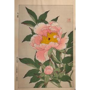 Estampe japonaise de SHODO : JUIN, SHAKUYAKU 