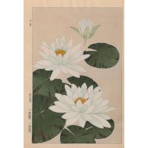 Estampe japonaise de SHODO : JUILLET, LOTUS, SUIREN