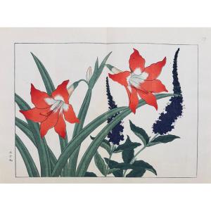 Estampe japonaise de Tessai : SHIKI NO HANA, AMARYLLIS, VERONIQUE