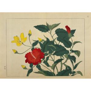 Estampe japonaise de Tessai : SHIKI NO HANA, HIBISCUS DE CHINE, MILLEPERTUIS ARBUSTIF