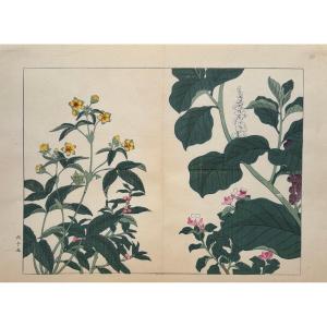 Estampe japonaise de Tessai : SHIKI NO HANA, LYSIMAQUE, DEUTZIA, PHYTOLAQUE D'AMERIQUE