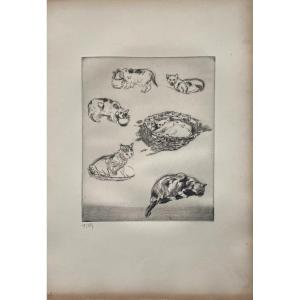 Drypoint By Paul Renouard: Study Of Kittens