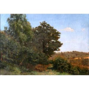 Harpignies - Countryside Landscape