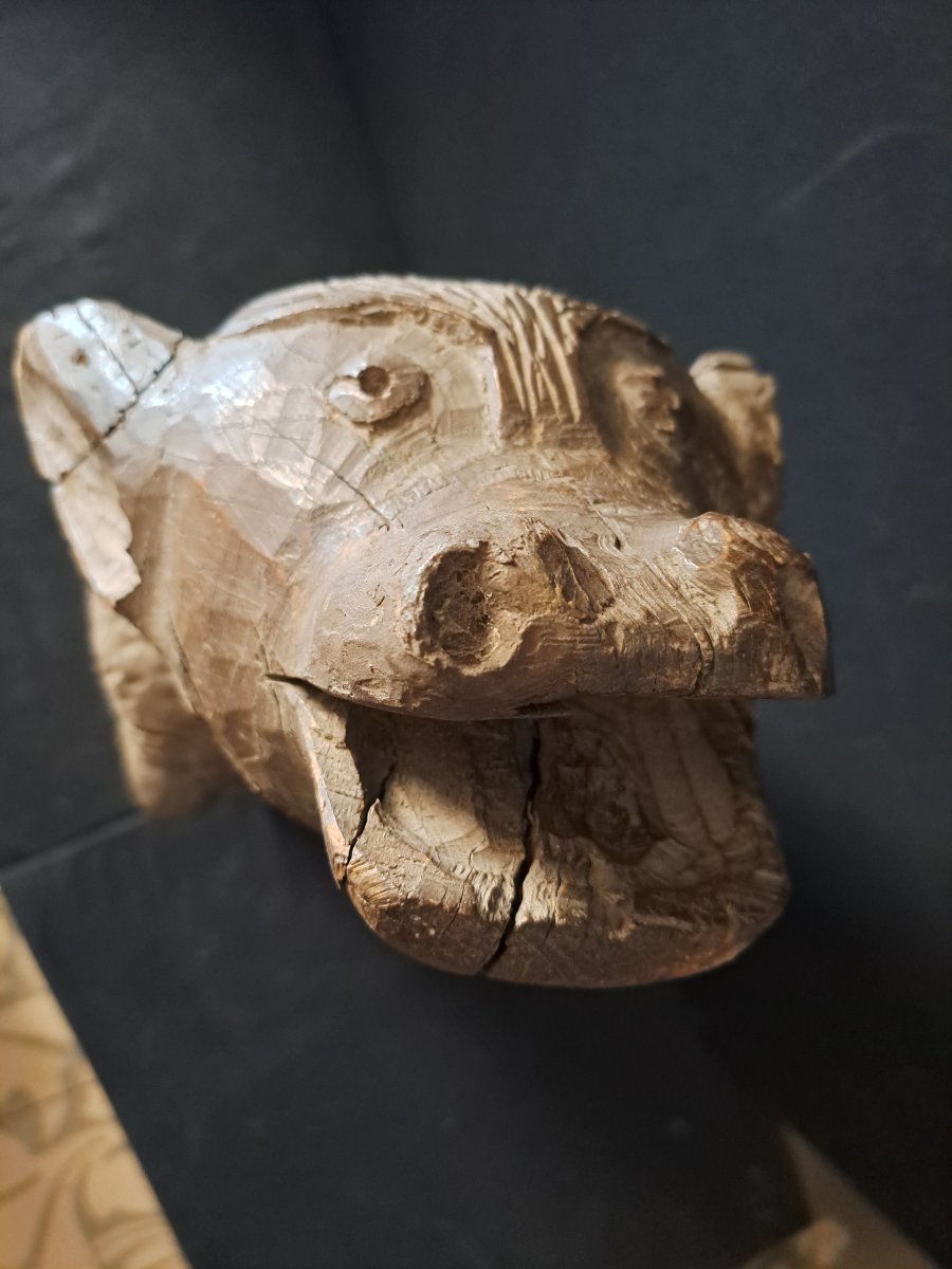 France, 16th Century, Large Wooden Sculpture Of A Wolf Gargoyle (l 81 Cm)-photo-3