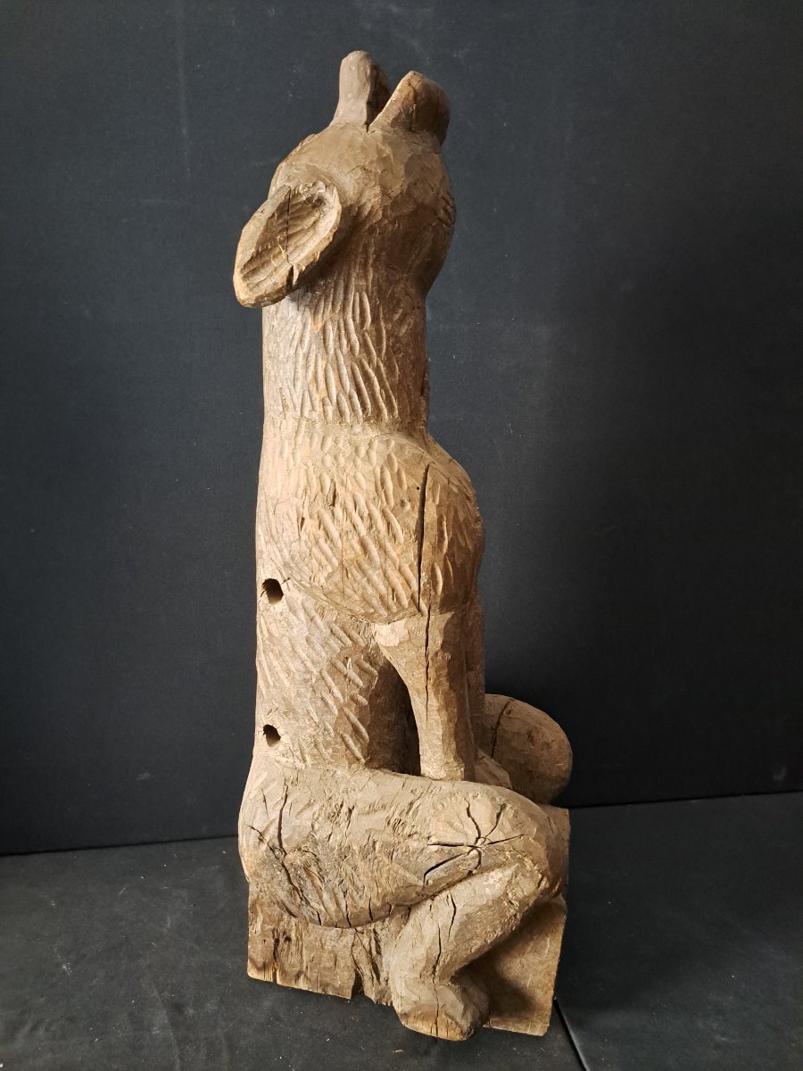 France XVIè,  Grande Sculpture en bois  gargouille de Loup   (L81 cm)-photo-2