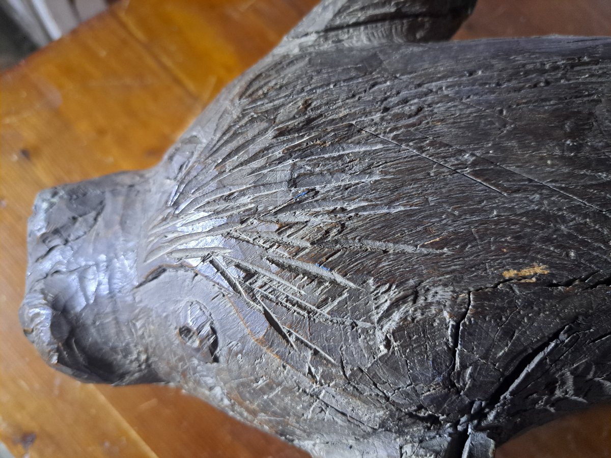 France, 16th Century, Large Wooden Sculpture Of A Wolf Gargoyle (l 81 Cm)-photo-1