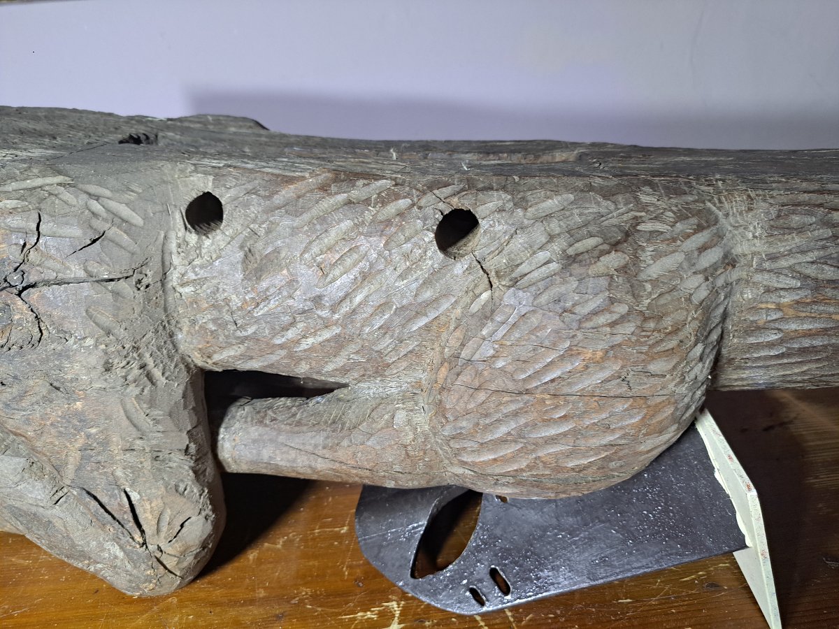 France, 16th Century, Large Wooden Sculpture Of A Wolf Gargoyle (l 81 Cm)-photo-5
