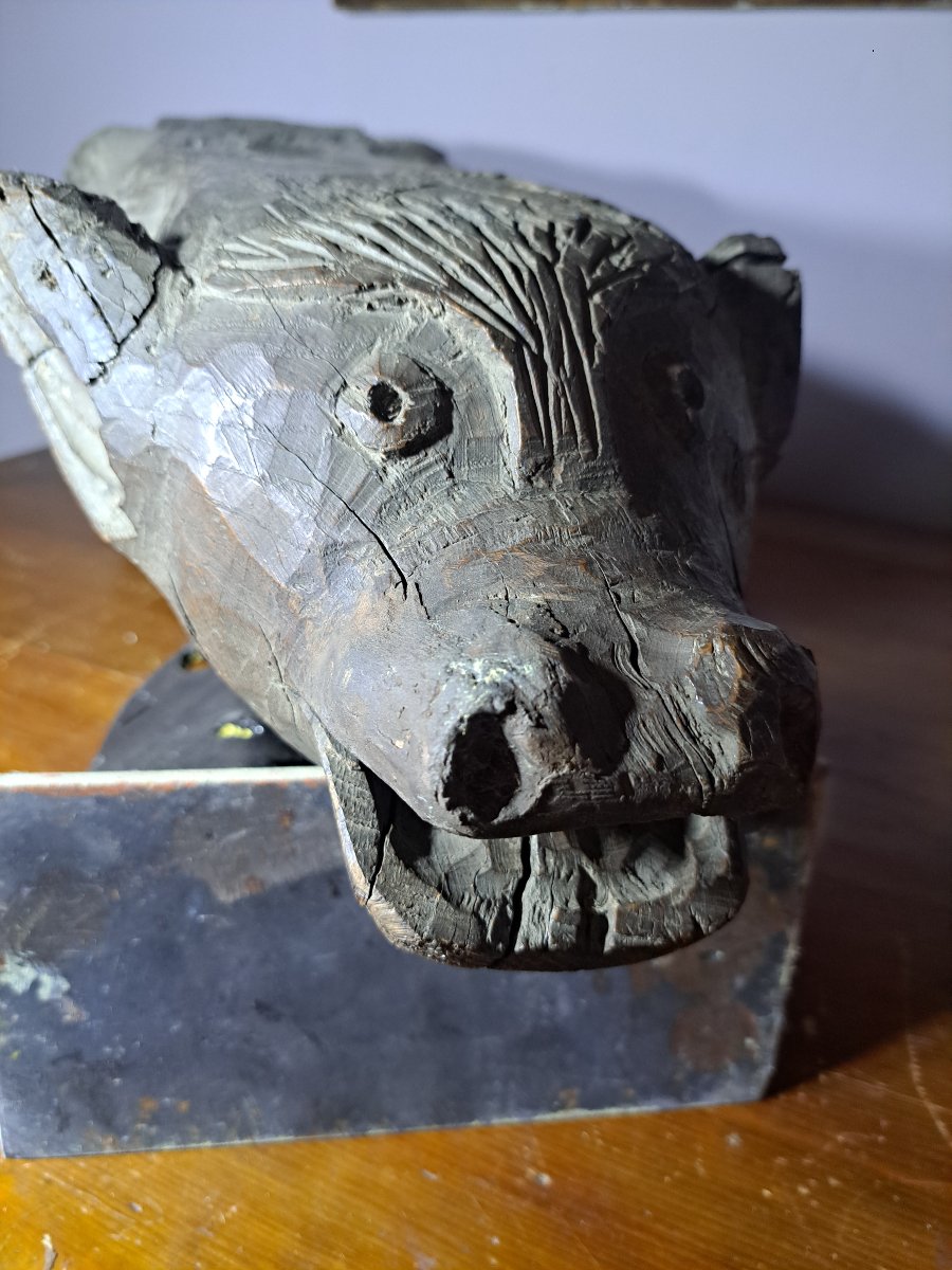 France XVIè,  Grande Sculpture en bois  gargouille de Loup   (L81 cm)-photo-3