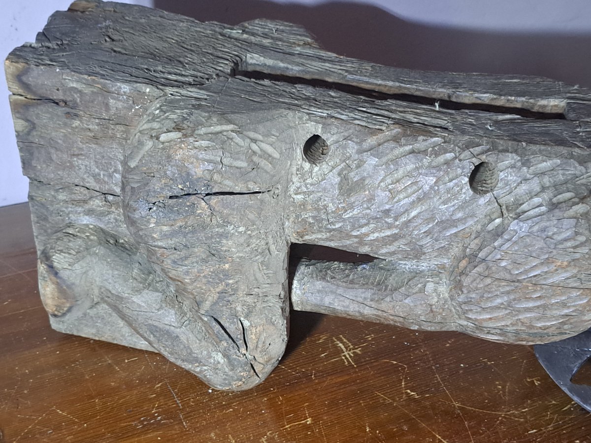 France XVIè,  Grande Sculpture en bois  gargouille de Loup   (L81 cm)-photo-4