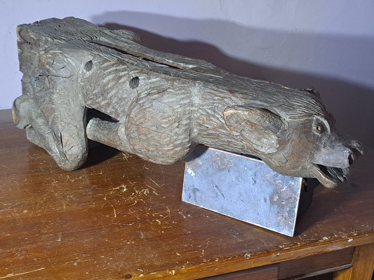 France XVIè,  Grande Sculpture en bois  gargouille de Loup   (L81 cm)