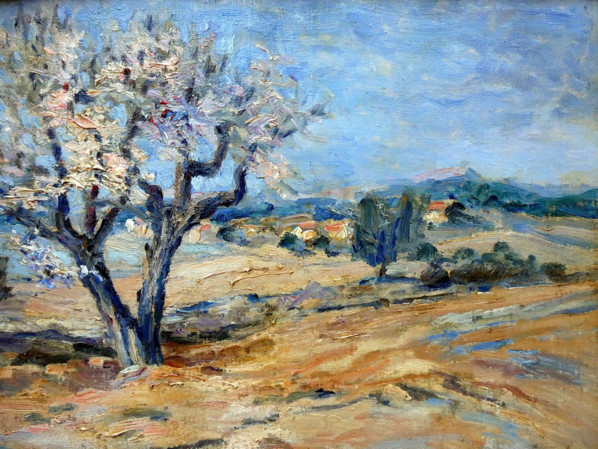 Edouard Ducros (1856-1936) Almond Tree In Blossom Near Aix En Provence-photo-5