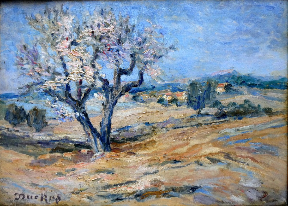 Edouard Ducros (1856-1936) Almond Tree In Blossom Near Aix En Provence