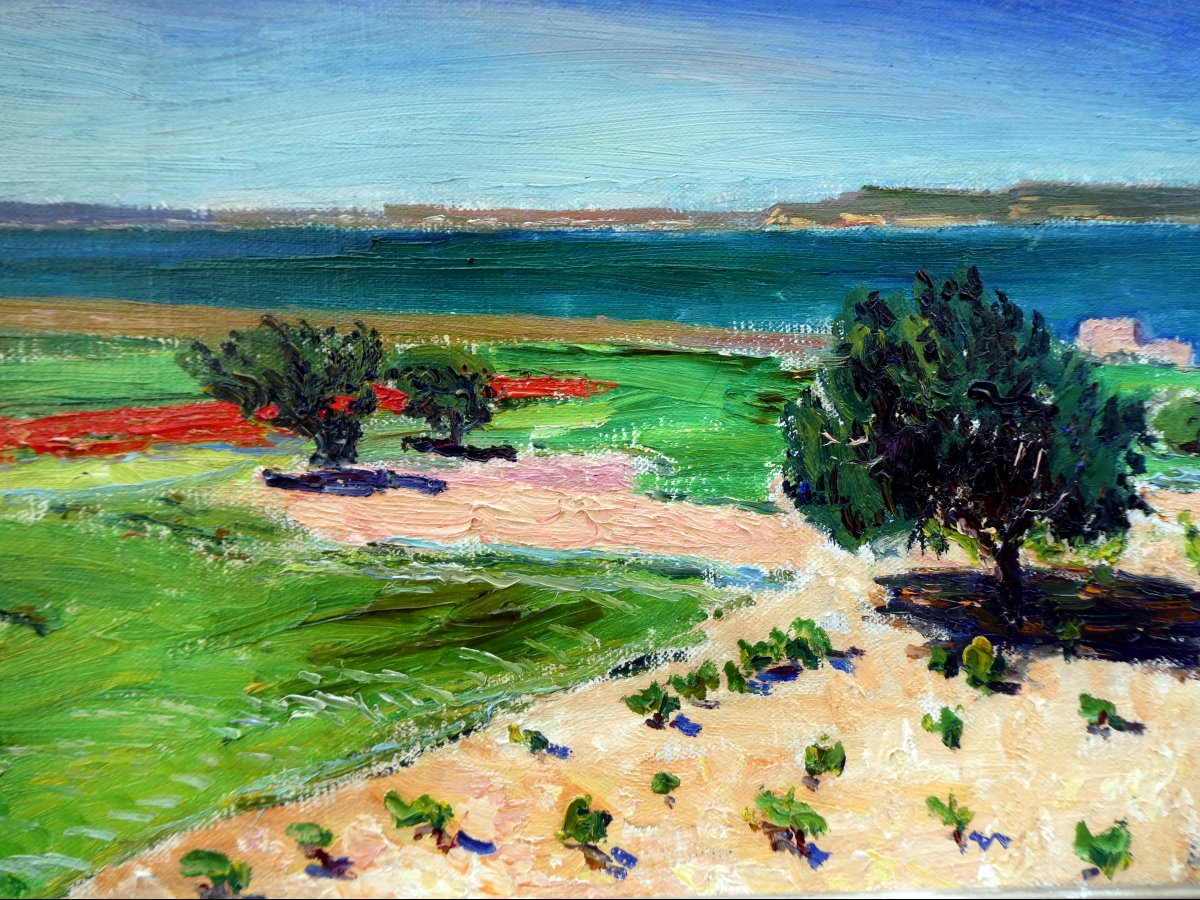 René Seyssaud (1867-1952) Landscape With Poppies -photo-3