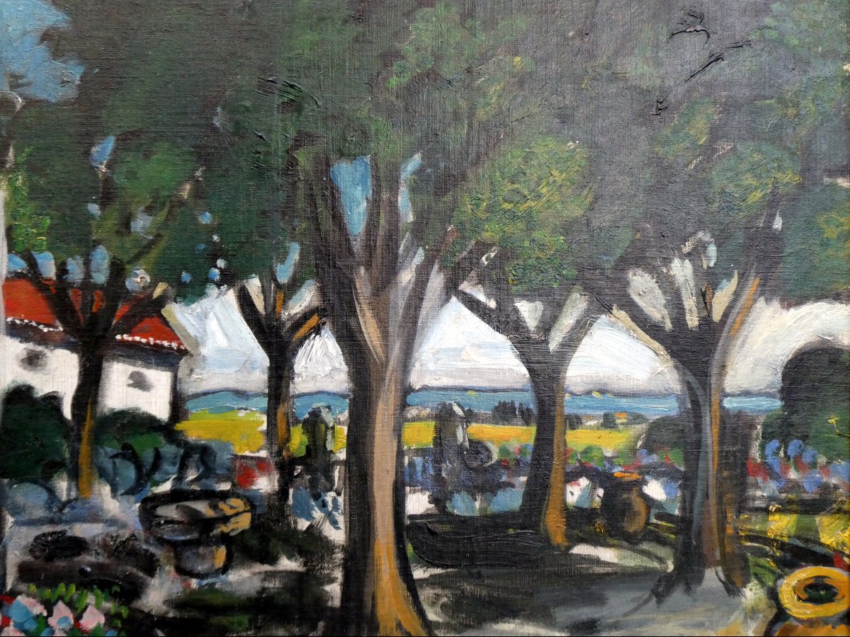 Auguste Chabaud (1882-1955) The Irises Of Mas De Martin In Graveson-photo-4