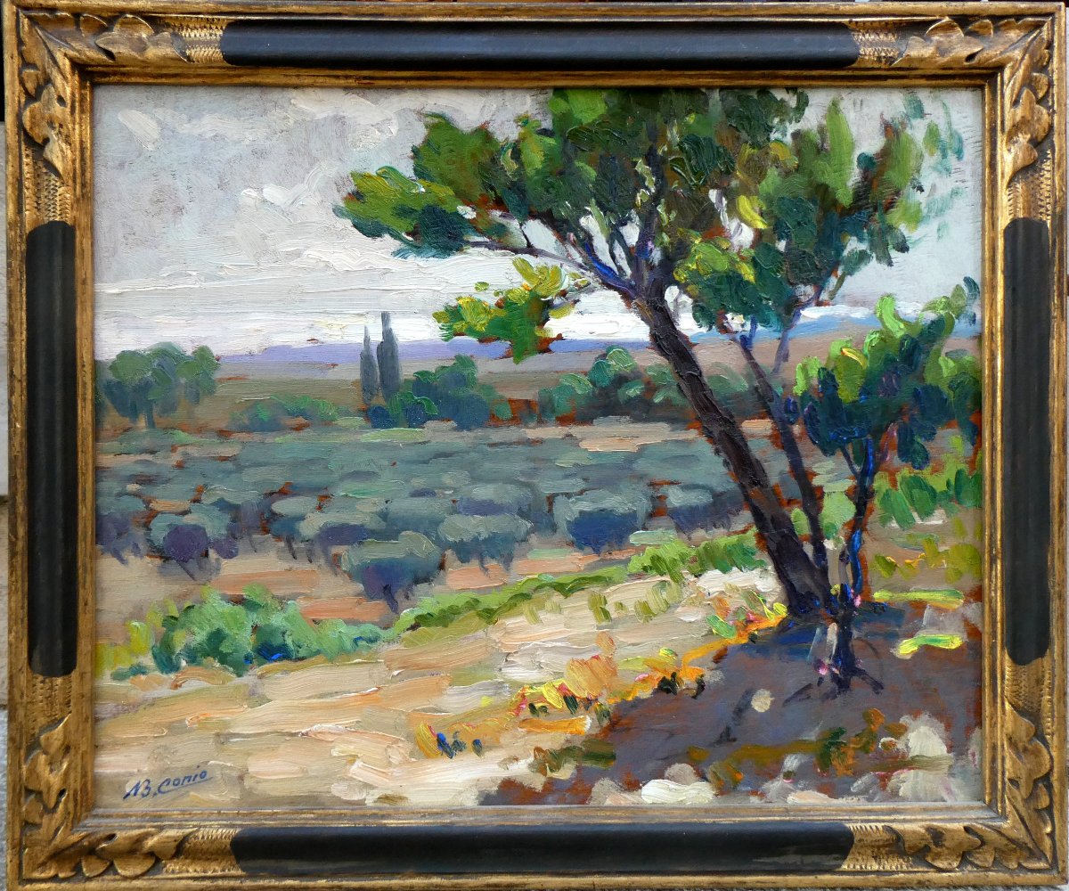 Jean-baptiste Conio (early 20th Century) Olive Tree Field Near Carro-photo-2