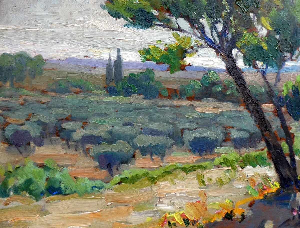 Jean-baptiste Conio (early 20th Century) Olive Tree Field Near Carro-photo-3
