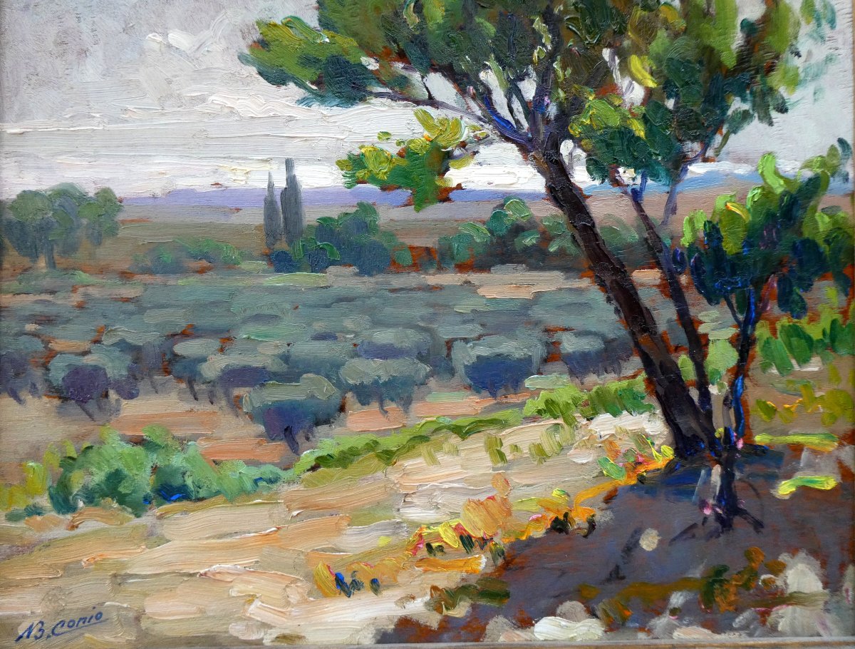 Jean-baptiste Conio (early 20th Century) Olive Tree Field Near Carro-photo-5