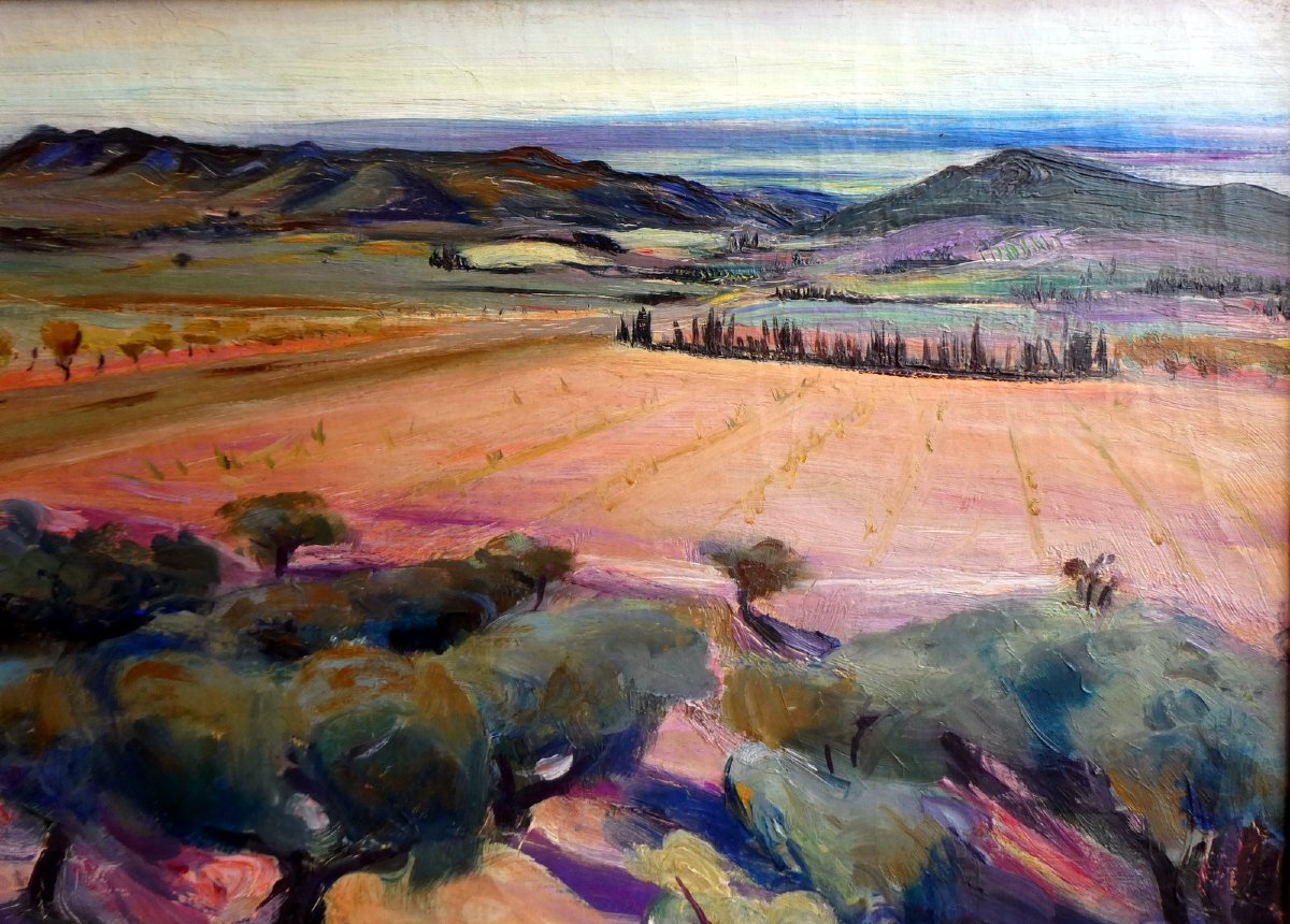 Antoine Serra (1908-1995) Oliviers dans les Alpilles-photo-2