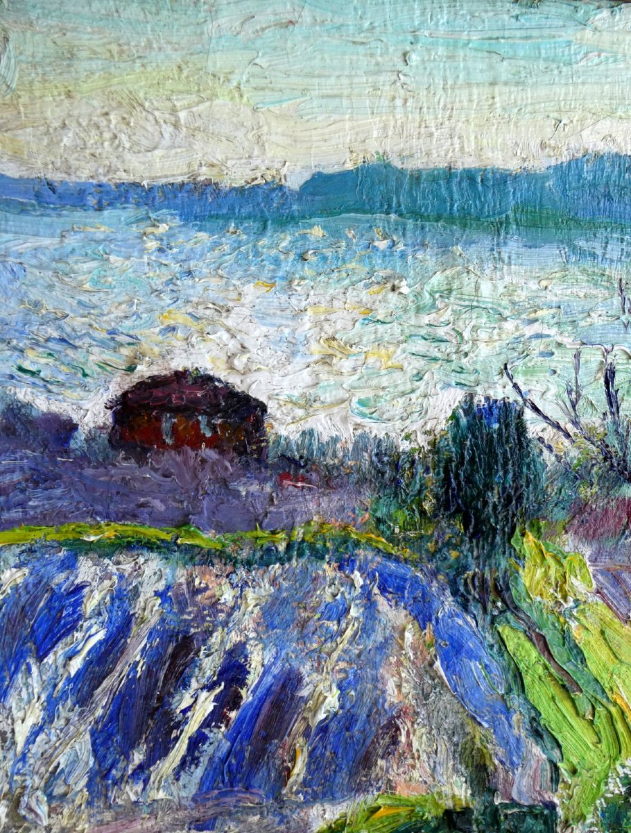 René Seyssaud (1867-1952) Effets de vent et de lumière sur l'Etang de Berre-photo-1