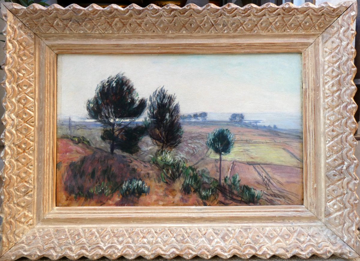 René Seyssaud (1867-1952) Paysage du Palous, sur les bords de l'Etang de Berre -photo-2