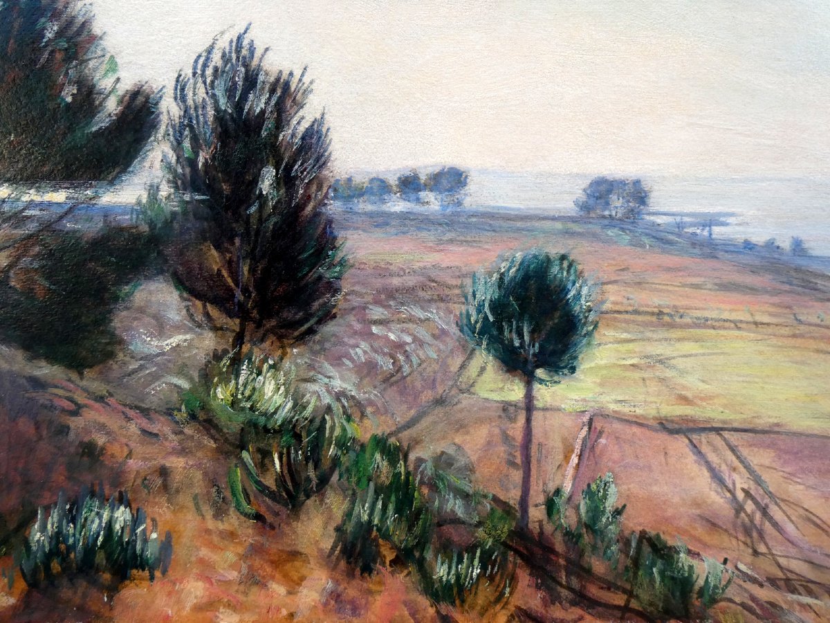 René Seyssaud (1867-1952) Paysage du Palous, sur les bords de l'Etang de Berre -photo-3