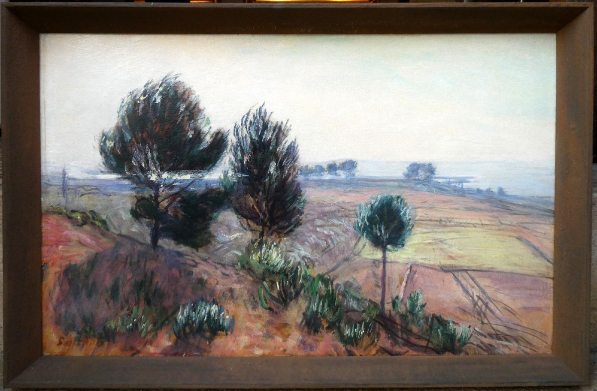 René Seyssaud (1867-1952) Paysage au Palous, sur les bords de l'Etang de Berre -photo-2
